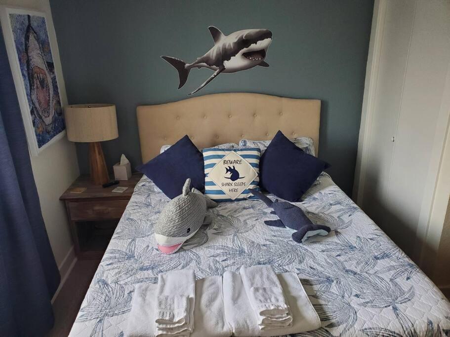 The Lost Loggerhead- Obx Ocean View Beach House Avon Exteriér fotografie